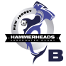 hammerheads-b-w